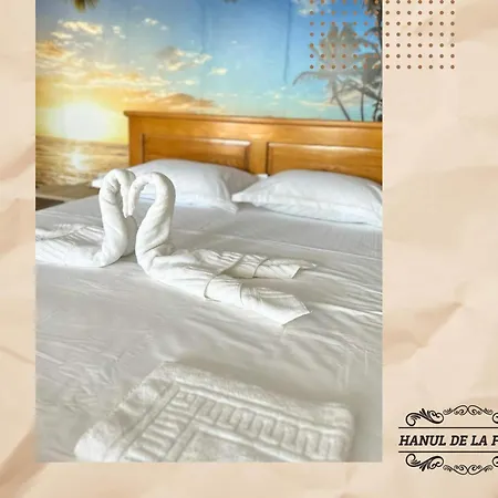 Hanul De La Ferma Maison d'hôtes Lumina